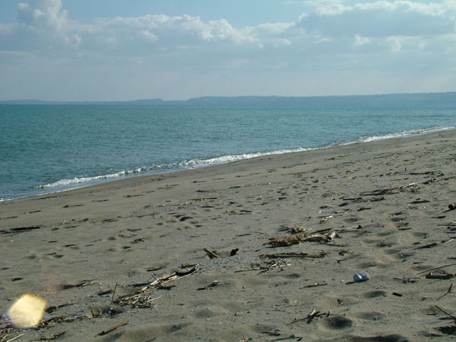 DSC451.jpg