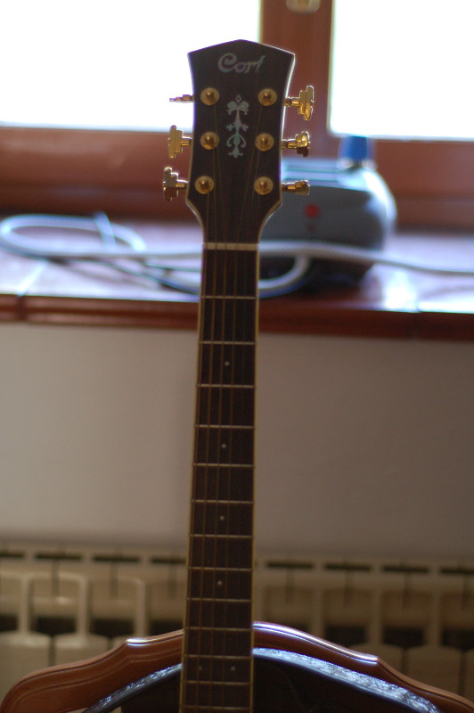 DSC_0003.JPG
