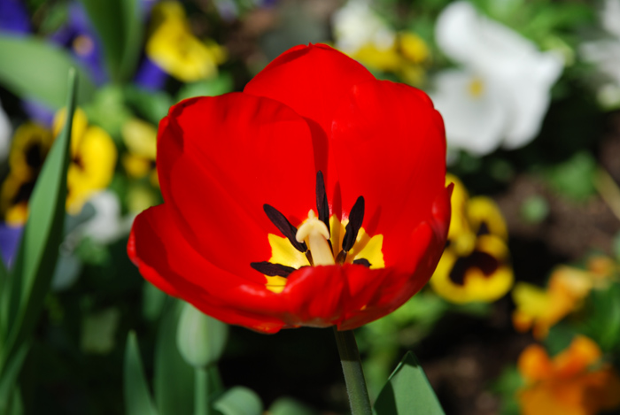 DSC_0004.jpg