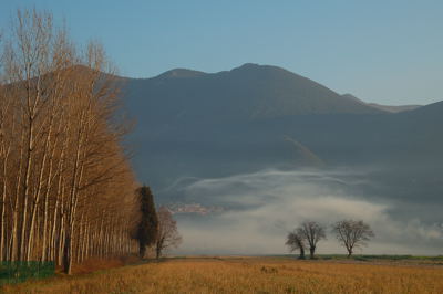 DSC_0005.jpg