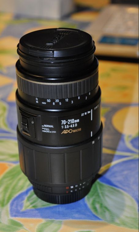 DSC_0009aaa.jpg