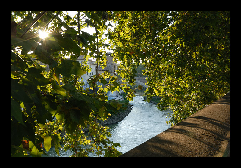 DSC_0010.jpg