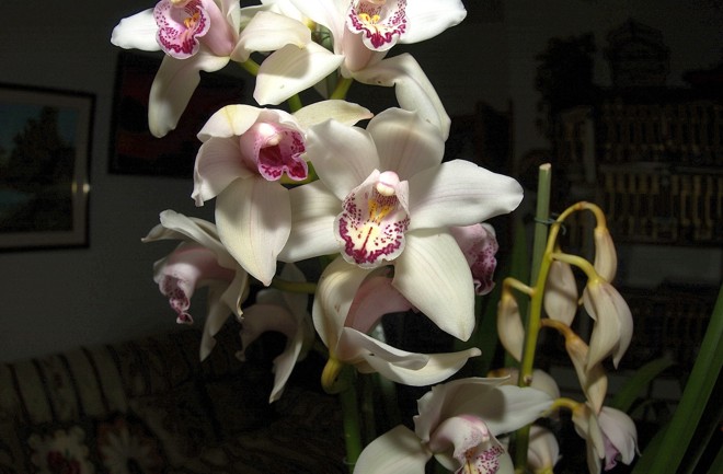 DSC_0010 rid.jpg