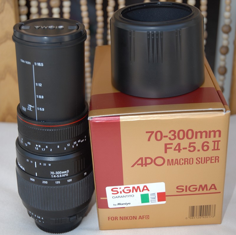 DSC_0011pos.jpg