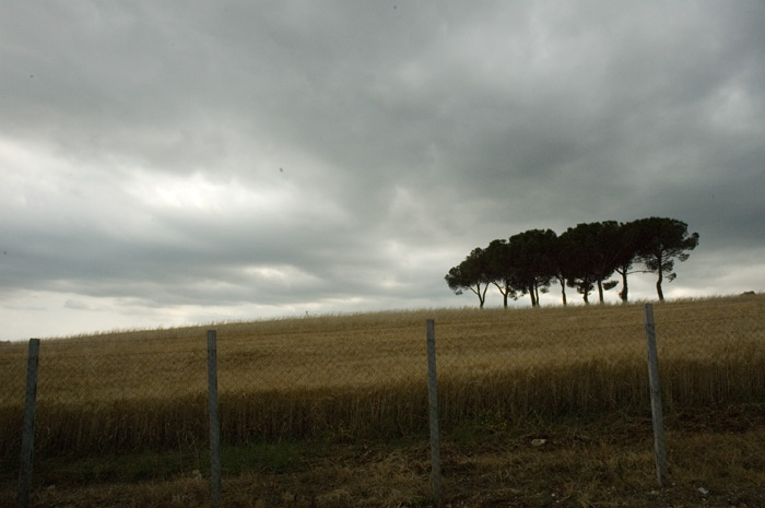 DSC_0014.jpg
