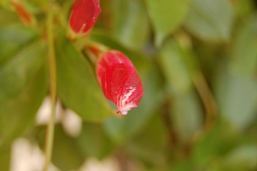 DSC_0017_01.JPG