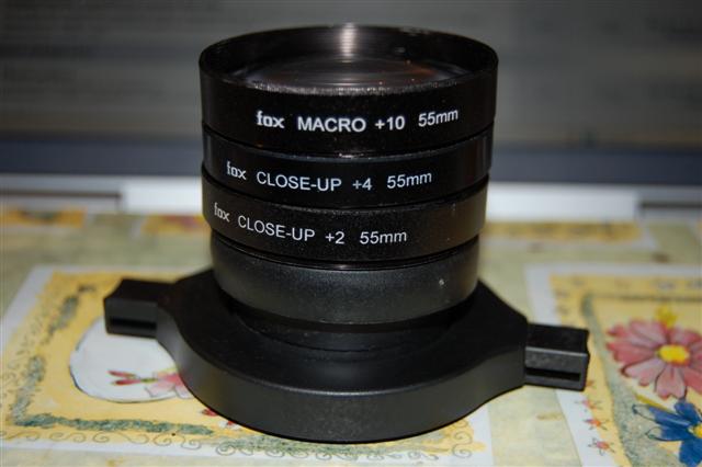 DSC_0019 (Small).JPG