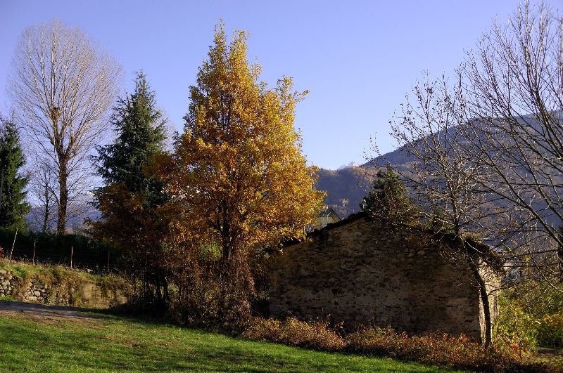 DSC_0023.JPG