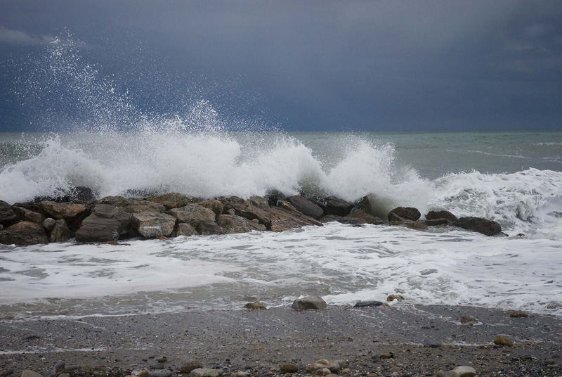 DSC_0025.jpg