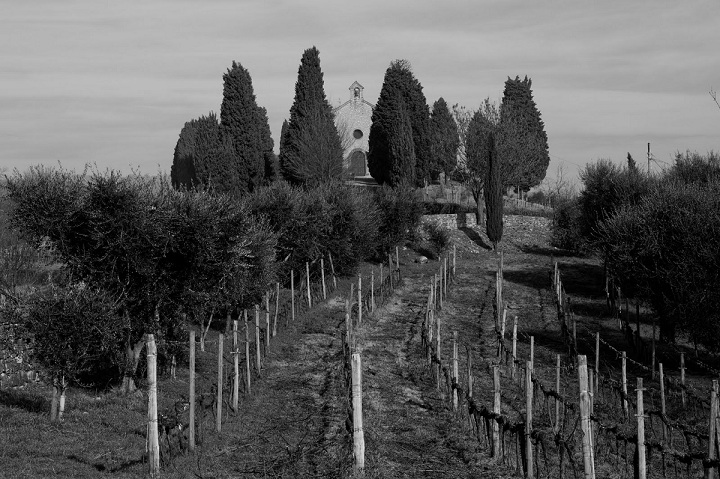 DSC_0027-2.jpg