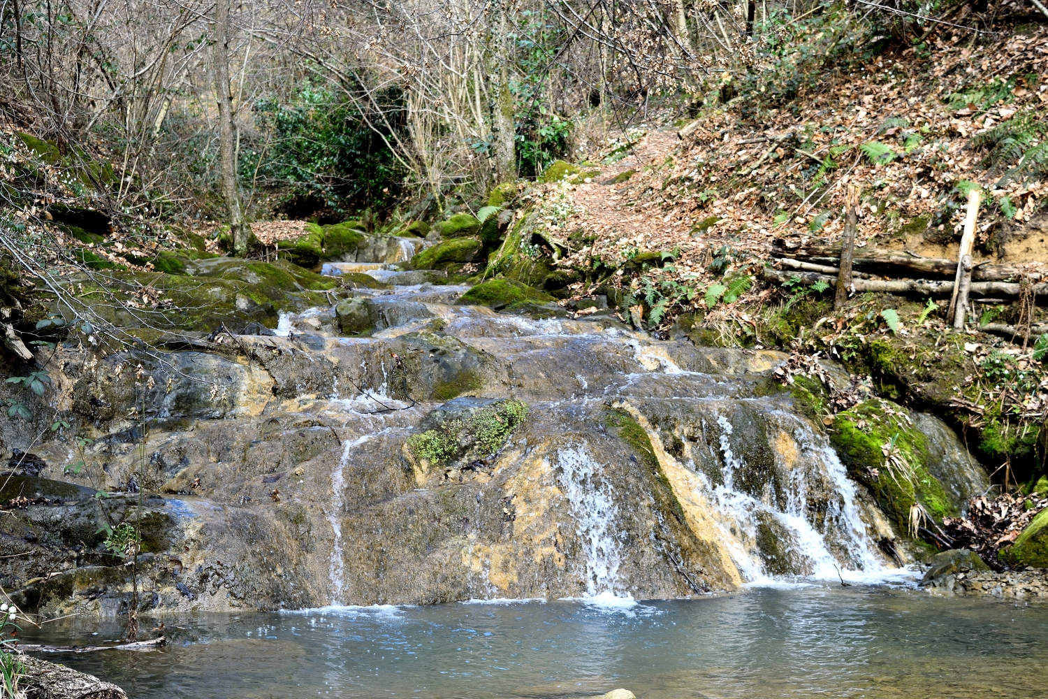 DSC_0031_01.JPG