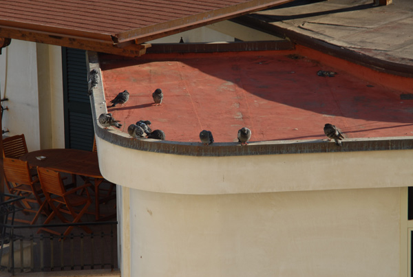 DSC_0031.jpg