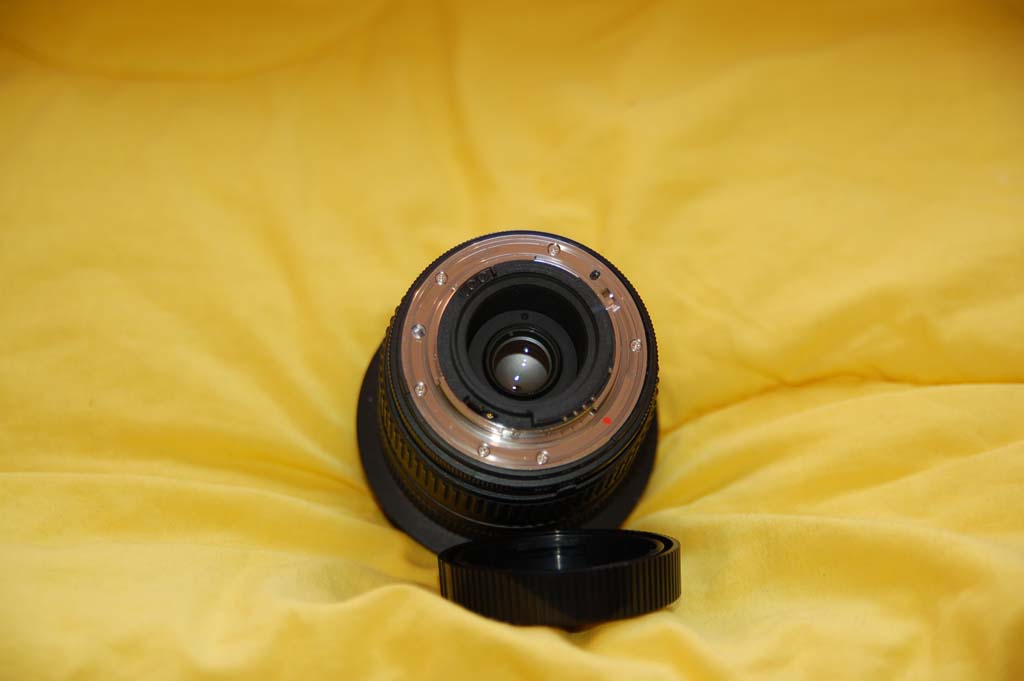 DSC_0033.jpg