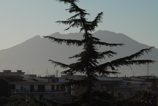 DSC_0033.jpg