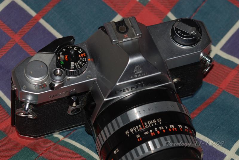 DSC_0037.jpg