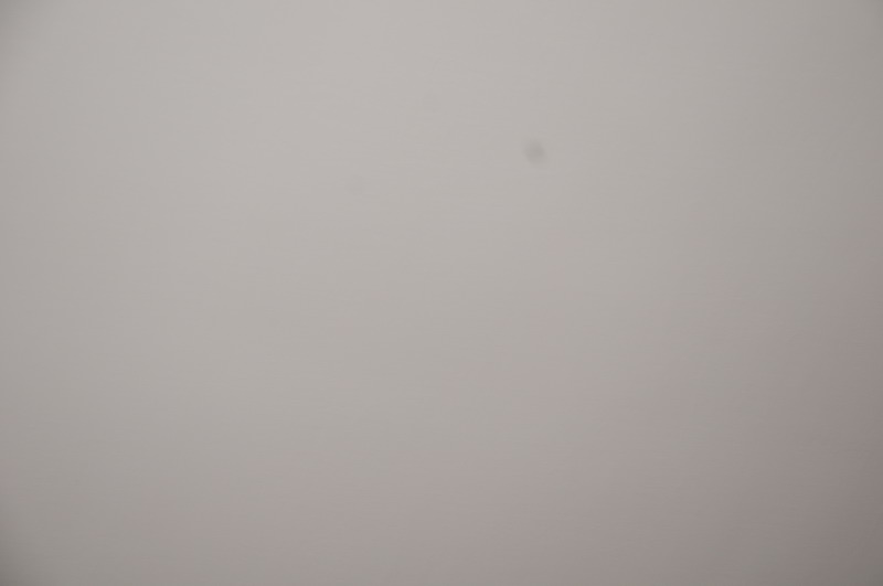DSC_0047_ridimensionare.JPG