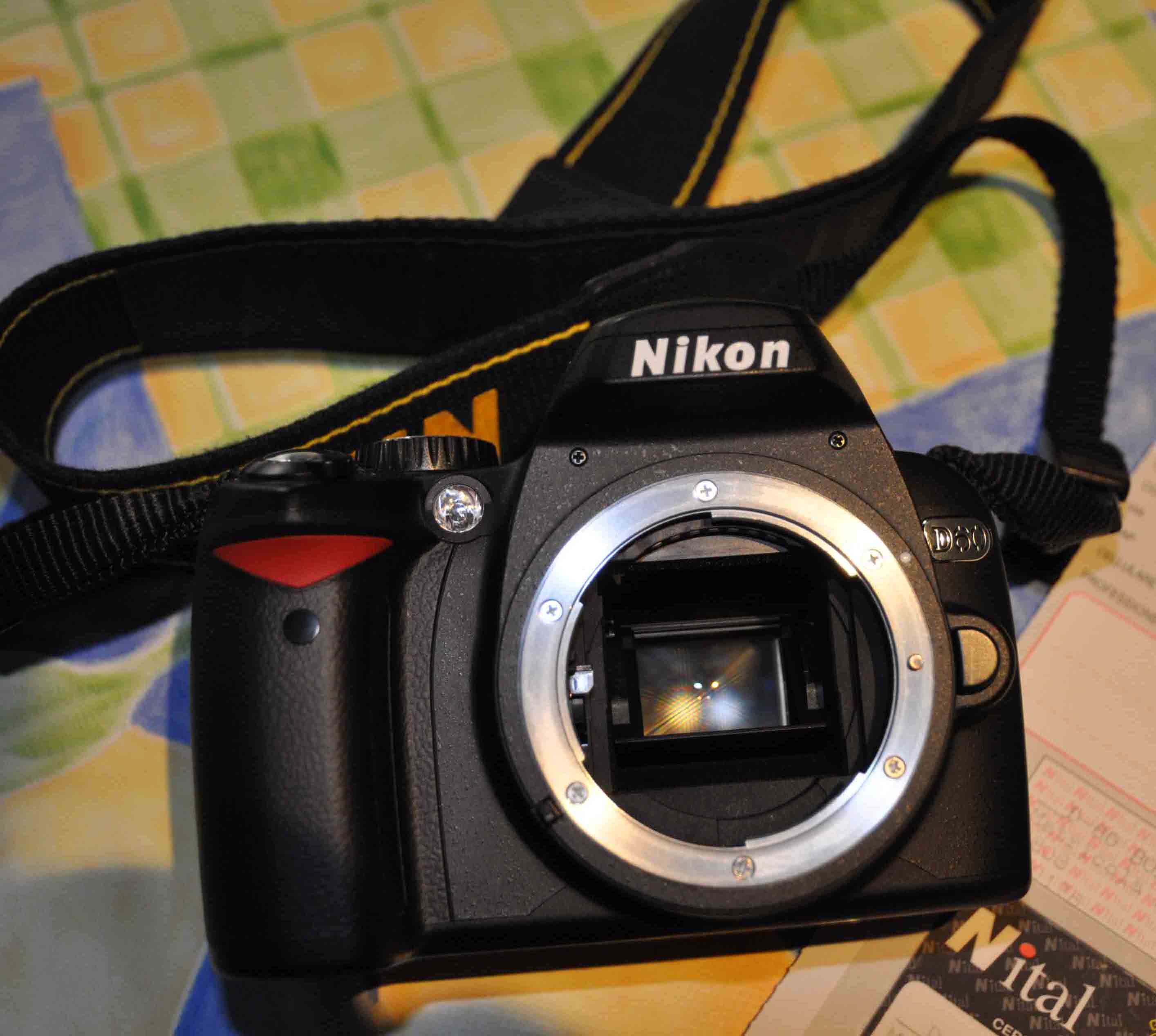 DSC_0050a.jpg