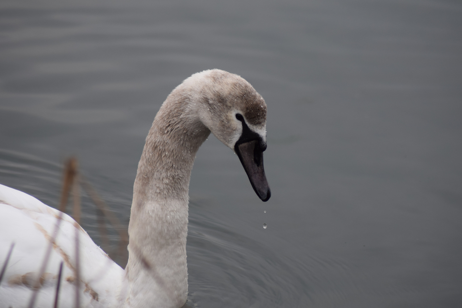 DSC_0051_01.JPG
