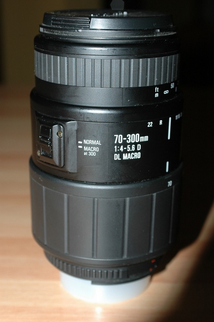 DSC_0056.JPG