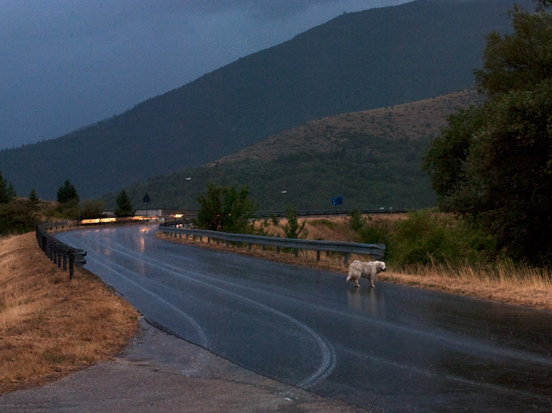 DSC_0064-2.jpg
