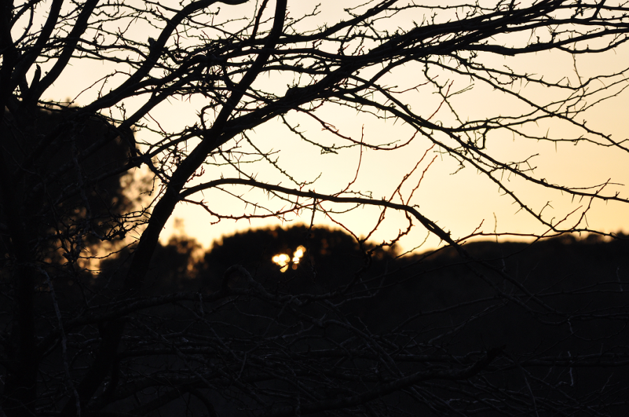 DSC_0064.png