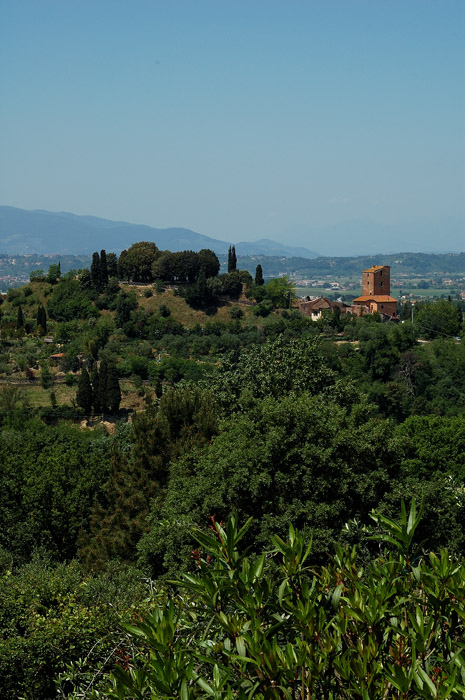 DSC_0072.jpg