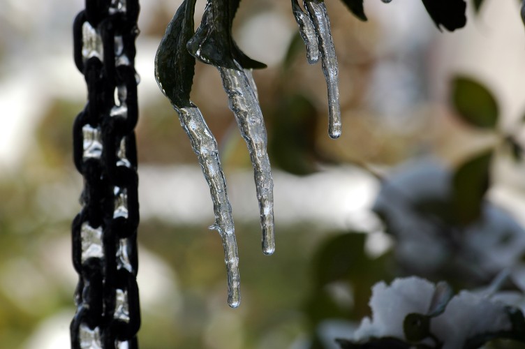 DSC_0073 (752 x 500).jpg