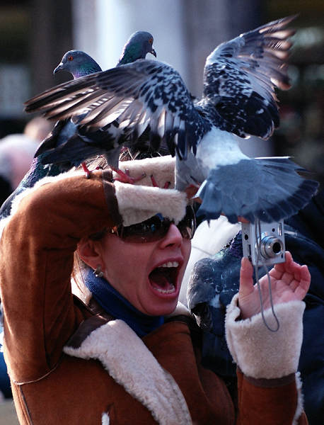 DSC_0078.jpg