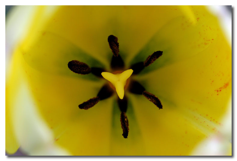 DSC_0079.jpg