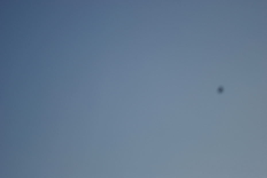 DSC_0079.jpg