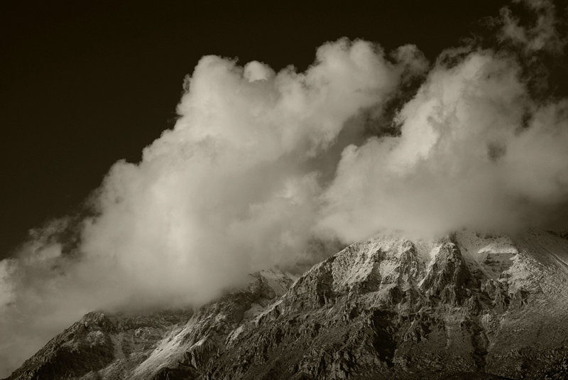 DSC_0079 BW.jpg