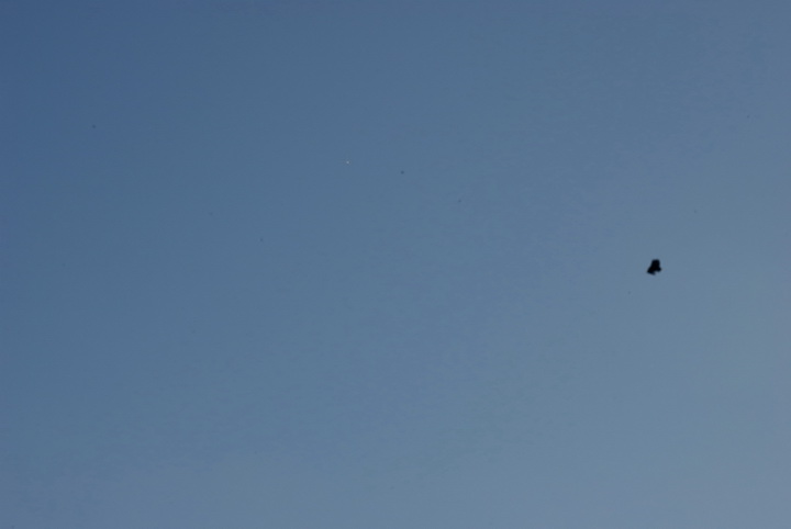 DSC_0080.jpg