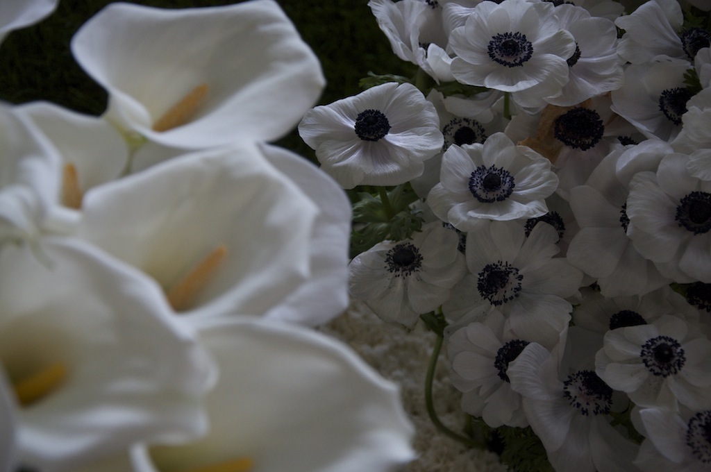 DSC_0083.jpg