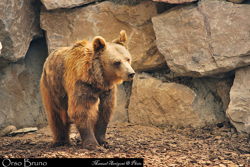 DSC_0083.JPG