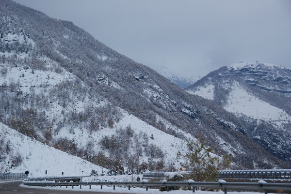 DSC_0085.jpg