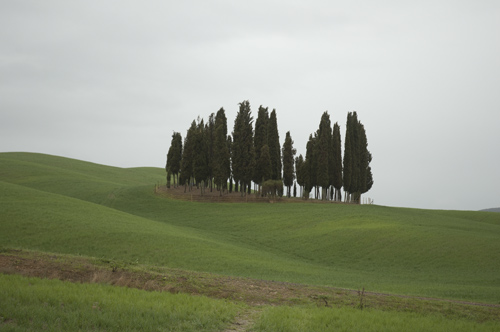 DSC_0087.jpg