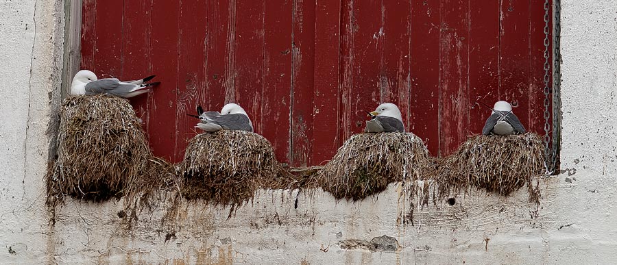 DSC_0097.jpg