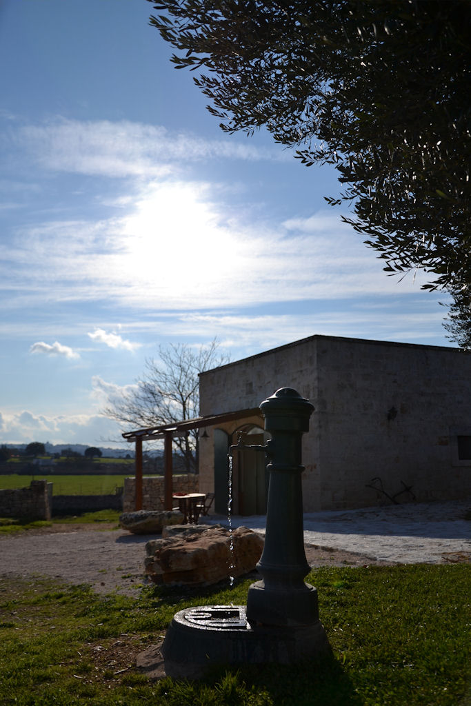 DSC_0098.JPG