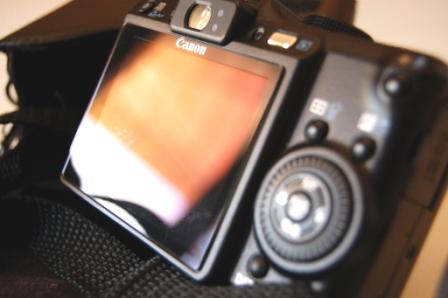 DSC_0100cc.JPG