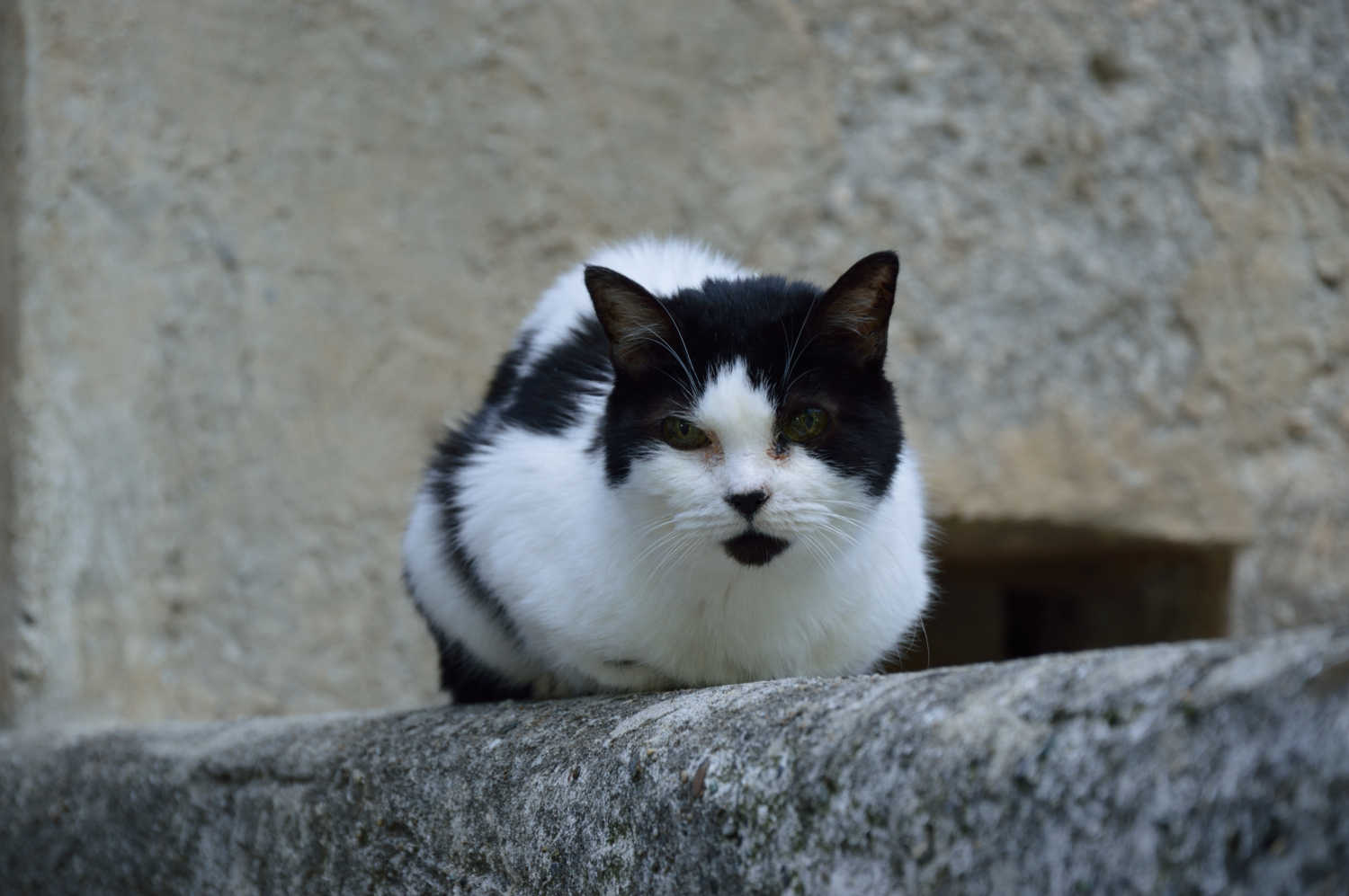 DSC_0105.JPG
