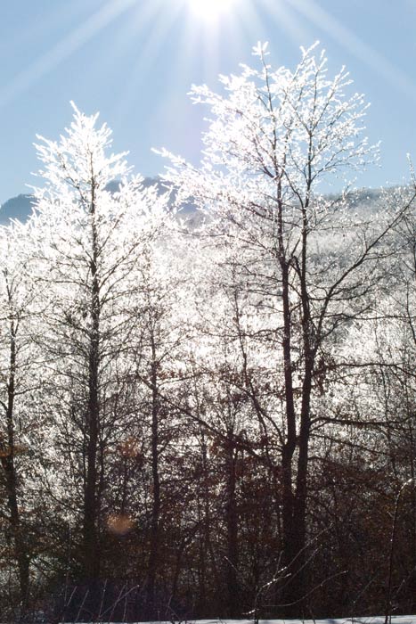 DSC_0107.jpg