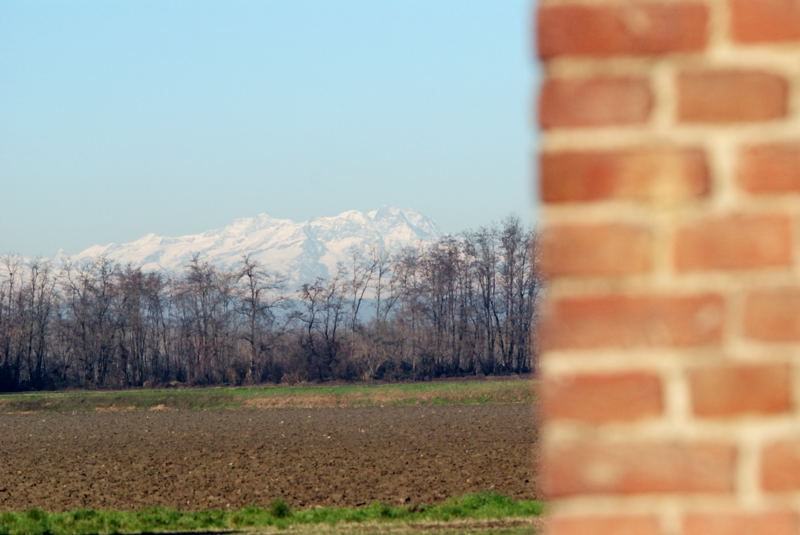 DSC_0109.jpg