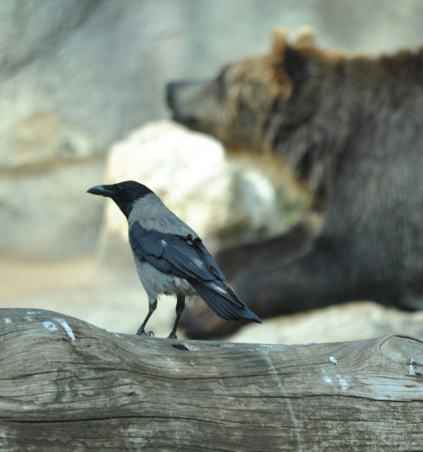 dsc_0121_115.png