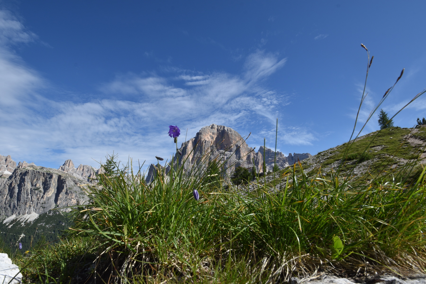 DSC_0137.2.JPG