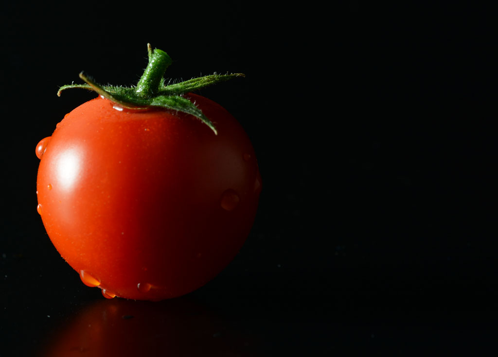 DSC_0144_pomodoro.jpg