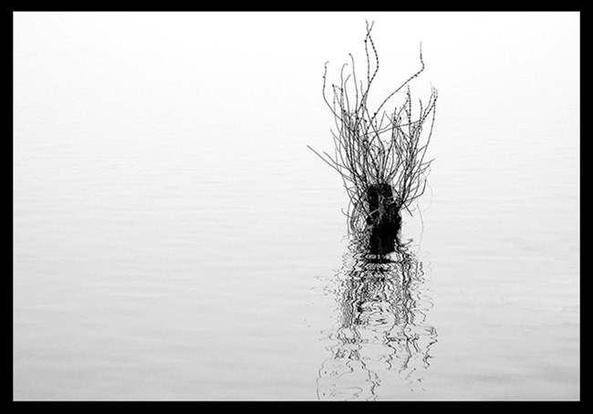 DSC_0145 copia3.jpg