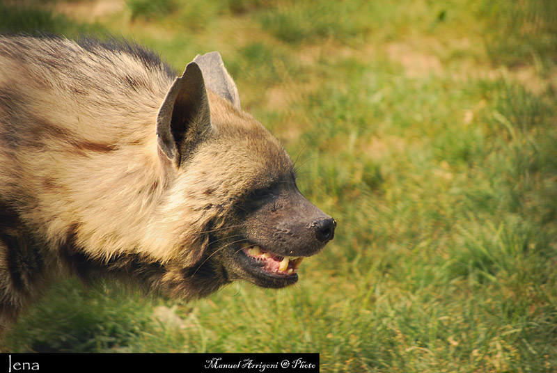DSC_0146.JPG