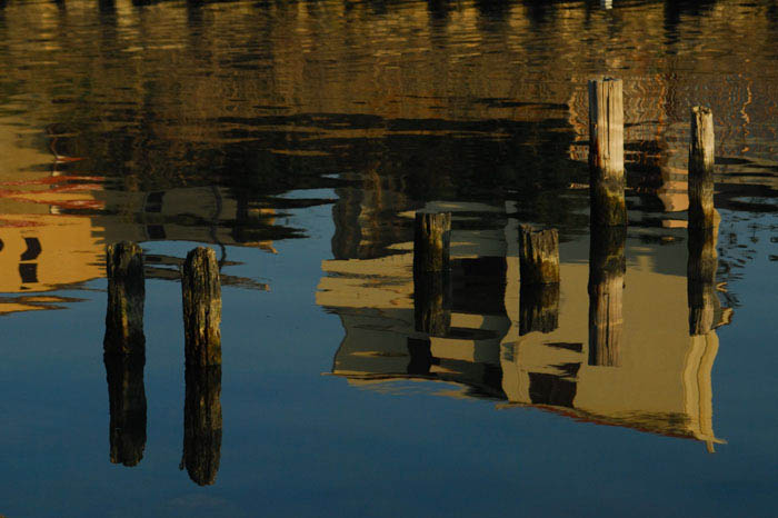 DSC_01710001.JPG