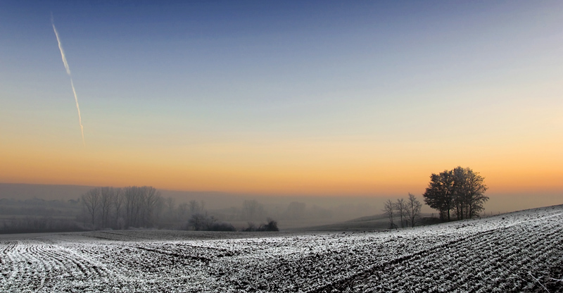 DSC_0181s2.jpg