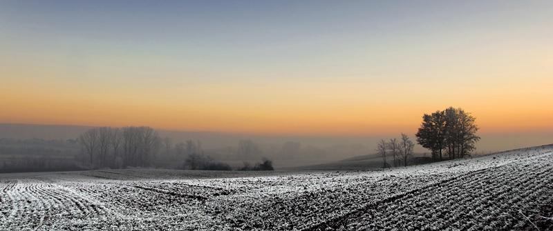 DSC_0181s3.jpg